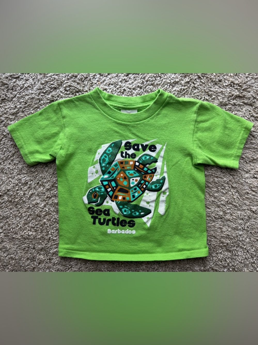 2T Green Sea Turtle Graphic T-Shirt Barbados Toddler Tee
